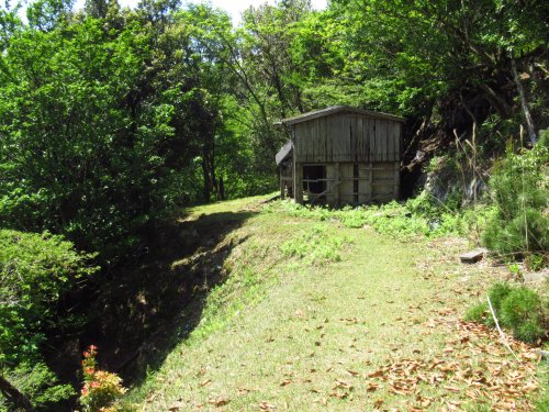 登山道